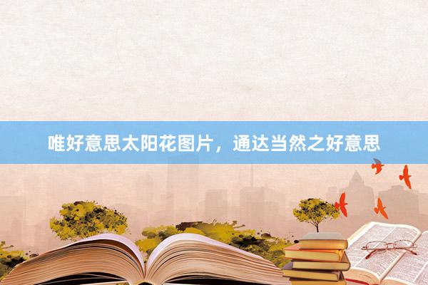 唯好意思太阳花图片，通达当然之好意思